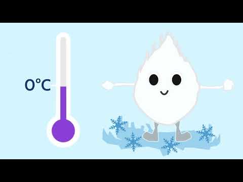 2nd Place Winner FSIA: "ES PUTER Science in a cup of Indonesian ice cream"