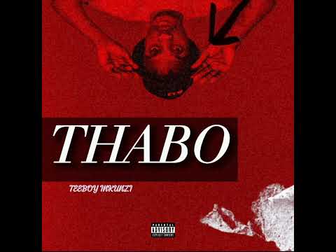 Teeboy Inkunzi - Thabo (Official Audio)
