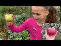 Wickson, Honeycrisp, Wolf River, Spartan, Jonagold Apple Taste Test With my Niece