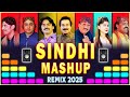 Sindhi Mashup Wedding Remix 2025 All Singers In One Song DJ Remix Shadi Remix Meer Ali Abbasi