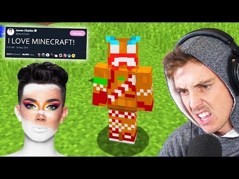 playing minecraft so james charles will collab
