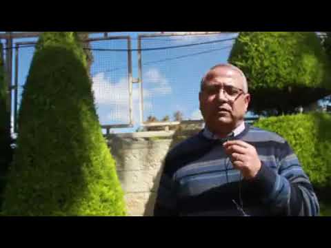 أسباب المجاعة التي أصابت فلسطين خلال الحرب العالمية الاولى