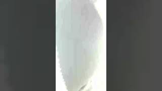 Download lagu sisca mellyana | Sisca Melliyana | Siscamellyana insta story | Sisca mellyana insta live ♥ 29 mp3