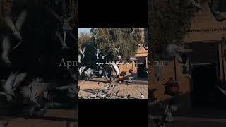 Download lagu Barsaat (Lyrics) - Banjaare | ✨️ Asthetic Lyrics Video #song #lyrics mp3
