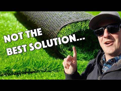 Why REAL GRASS Is BETTER Than Artificial TURF