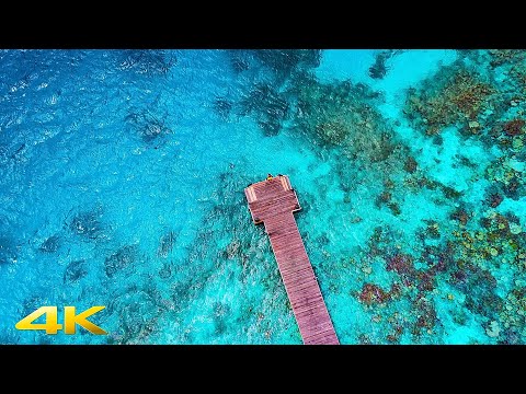 AMBIENT LOUNGE Relaxing Mix 4K Music Relaxing Chill Out Relax Luxury Summer Deluxe Mix Vol. 1