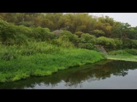 Reimund Hess & seine TV-Band (Germany) - Nature Boy / Mademoiselle Ninette