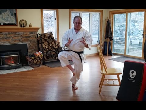 Home Shotokan Karate Training - March 31st 2021 U of M Shotokan Karate Club