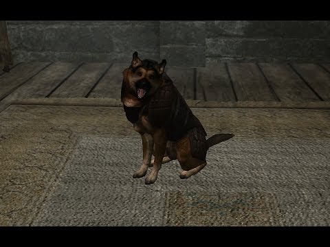 KnightStreak's Daily Skyrim Mod Double Feature Rex the German Shepard/Mini Dragon Mounts n Followers