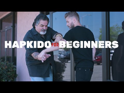 Hapkido/Blend For Beginners With Fariborz Azhakh