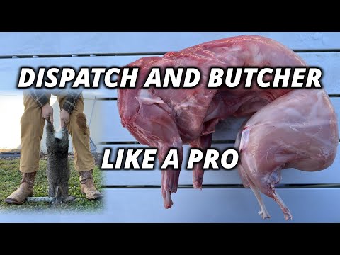 How to Raise and Butcher Meat Rabbits: COMPLETE GUIDE
