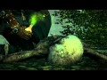 AFK: The Witcher 2 - Assassins of Kings