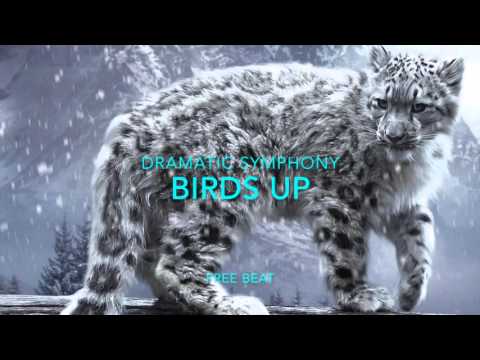 FREE Epic Hip Hop Rhythmic Beat   BIRDS UP   Dramatic Symphony