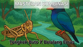 Download lagu Masteran kombinasi Tengkek Buto sambung Belalang Emas mp3