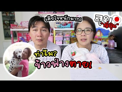 Download 1 Made In Japan Tam Story 3gp Mp4 Codedwap