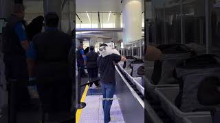 Homem Viaja com Seus Gatinhos Fofos 😻❤️