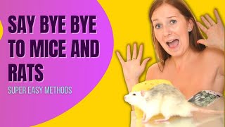 Home Remedies To Get Rid Of Mice And Rats (Super Effective Methods)