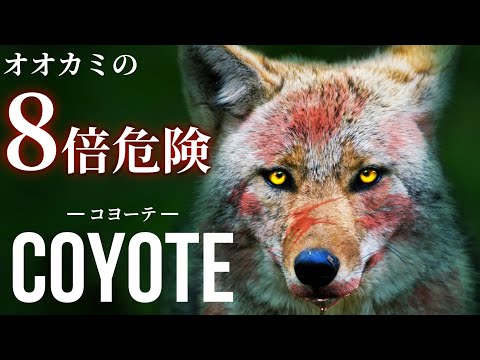 IUCN分類における絶滅の危険性を示す図。