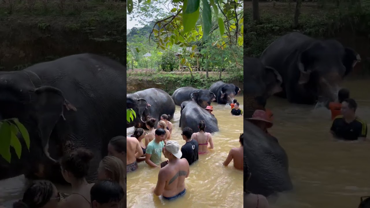 YouTube Short thumbnail