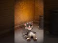 Untitled video