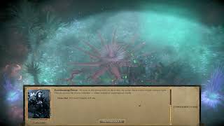 Pathfinder: Kingmaker - Evil - Everblooming Flower in The Other World