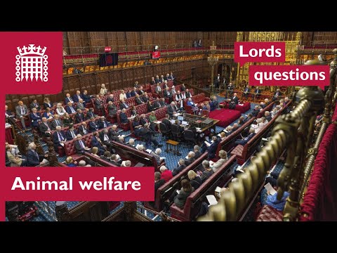 Improving animal welfare | Lords questions | House of Lords