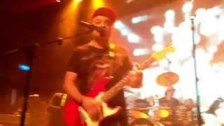 Paulo Mendonca -  Birds and the Bees