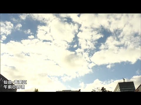 いつ冬のベールをかぶるかを知ることがなぜ重要なのでしょうか?効果はあるのでしょうか？  庭園