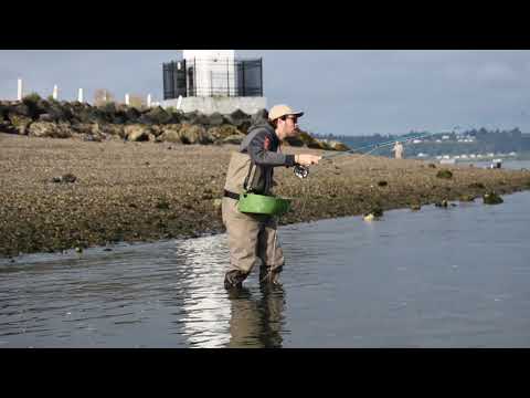 Beach Fishing Puget Sound on the Fly for King Salmon