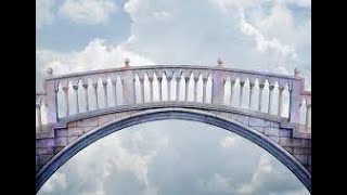 BRIDGE GUN|Anti-Jump Man