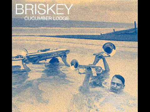 Briskey - Illicit Liaison