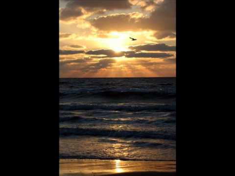 Ana The - Lekcija i sudbina