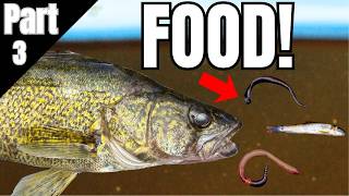 The Walleye Food Chain (Find The Food, Find The Walleyes!)