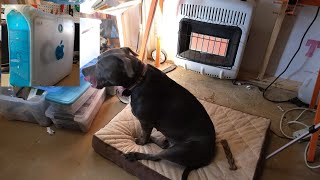 Licking our lips for the G3 Blue and White Mac!