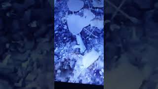 Nhà để đốt xác người chết 0528560233