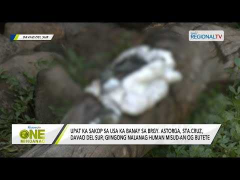 One Mindanao: Upat ka sakop sa usa ka banay sa Davao del Sur, giingong nalanag