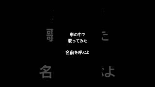 車の中で歌ってみた「名前を呼ぶよ」 #うたってみた