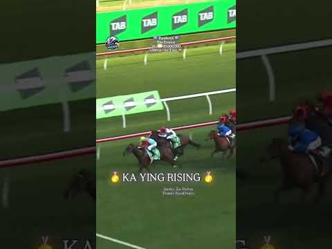 KA YING RISING wins the 💵20 million The Everest🥇😎