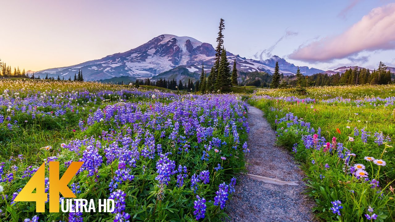 Pacific Northwest 4K - Beautiful Nature of Washington State - Leavenworth and Mt. Rainier - Part #3