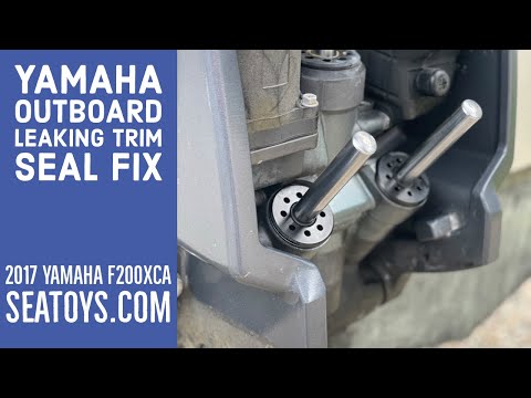 Yamaha Outboard. How to Replace Trim Seal Screw Caps. F200 @seatoys