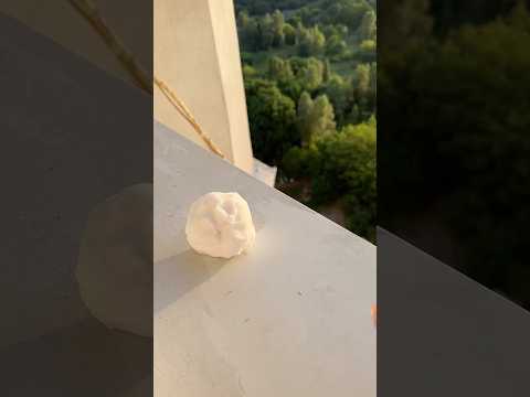 Нашла снежку летом