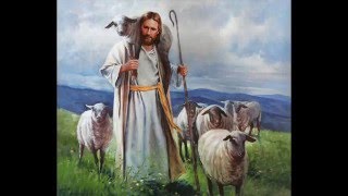 MARCOS WITT CIEN OVEJAS