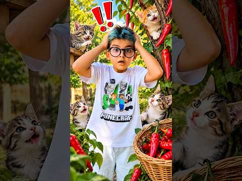 Kerem Kedileri Sever! 🐱❤️