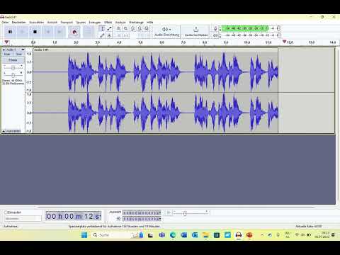 Audacity Audio aufnehmen