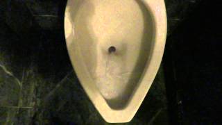 preview picture of video 'Bathroom Tour: American Standard Urinal and Toilet Intercontinental Hotel Kansas City'