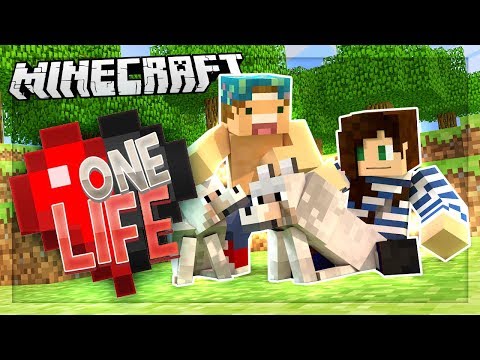 one life smp mod pack one life smp mod pack