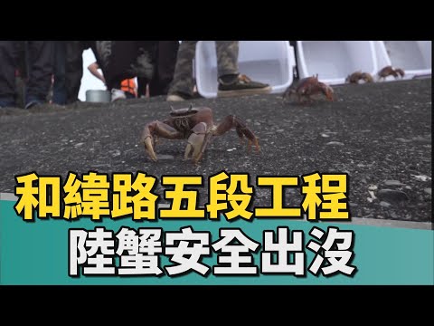 和緯路五段延伸