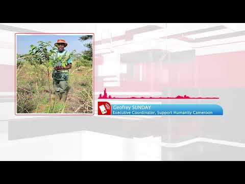 Forest conservation. The value of the forest to the local population. How to manage overexploitation