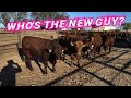 Who's the New Guy??
