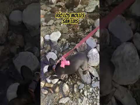 Río Los Molles, San Luis. #sanluis